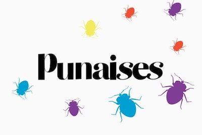 Punaises - Masterclass Pinterest 101