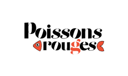 Formation SEO - Poissons rouges
