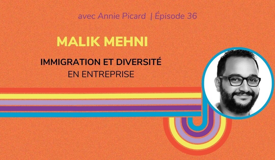 Immigration et diversité culturelle en entreprise – Entrevue avec Malik Mehni