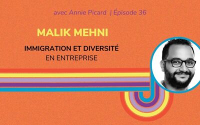 Immigration et diversité en entreprise, avec Malik Mehni